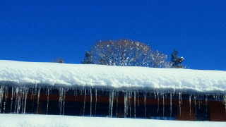 年末の雪と山5.jpg