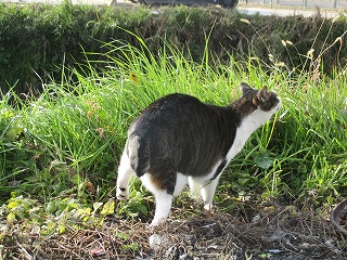 IMG_5636ss.jpg