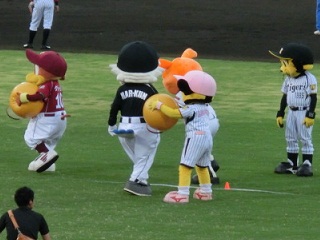 mikan_hakobi2.jpg
