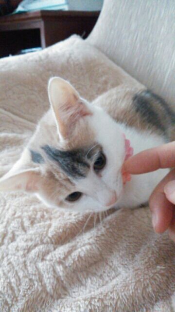 rblog-20151130203128-02.jpg