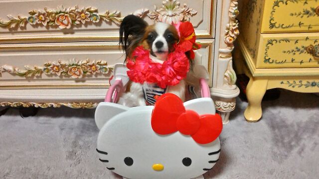 rblog-20150101202746-02.jpg