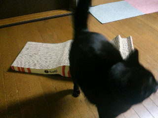 2013100420520000.jpg