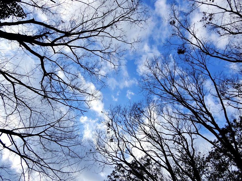 空3