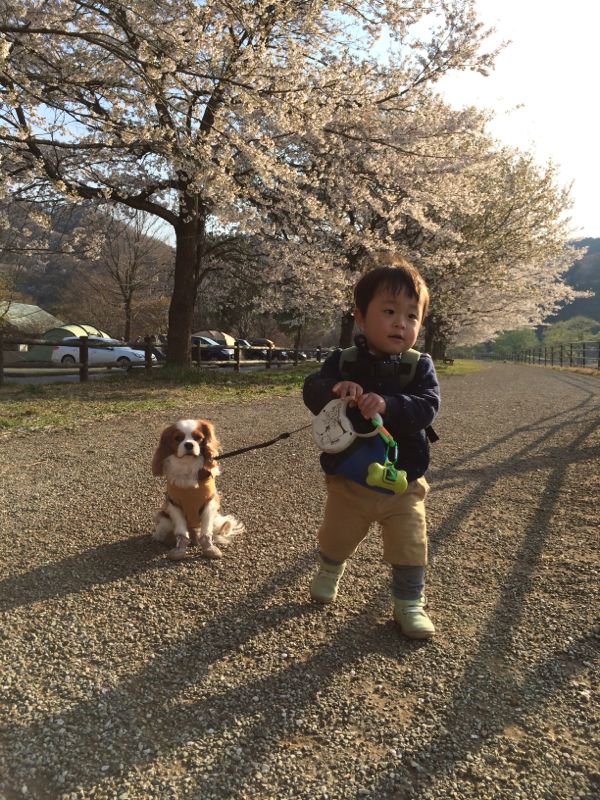 rblog-20140413215133-00.jpg