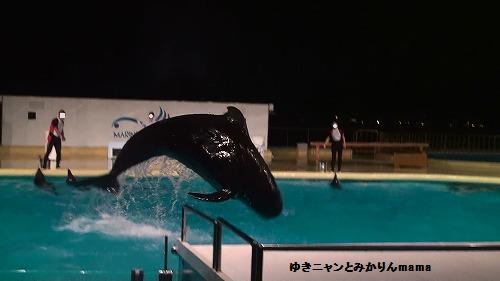 20120723202924(25).jpg