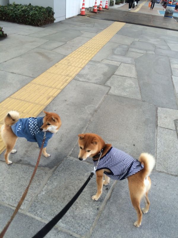 rblog-20160124033518-05.jpg