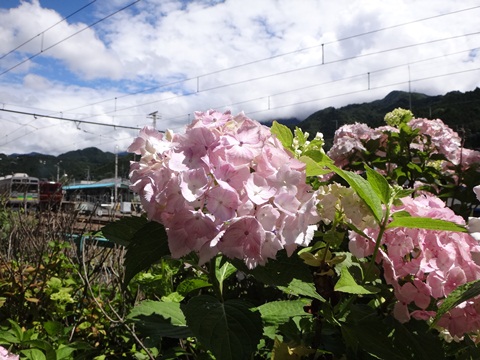 DSC01458.JPG