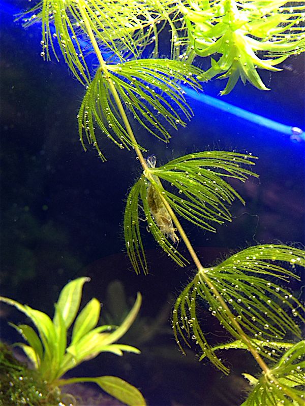 rblog-20140927181736-00.jpg