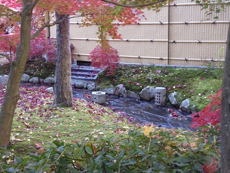 P1010228.JPG