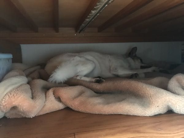 rblog-20180406085749-02.jpg