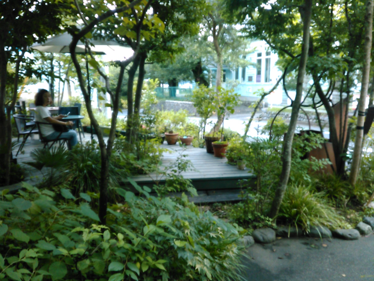 庭KIMG0401.JPG