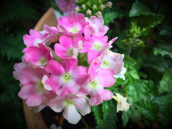 rblog-20160531194557-09.jpg