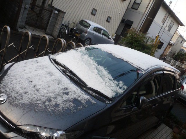 490 雪