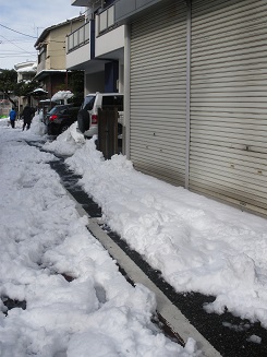 2014年2月9日　雪 006.jpg