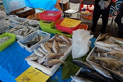 s-DSC_0172.jpg