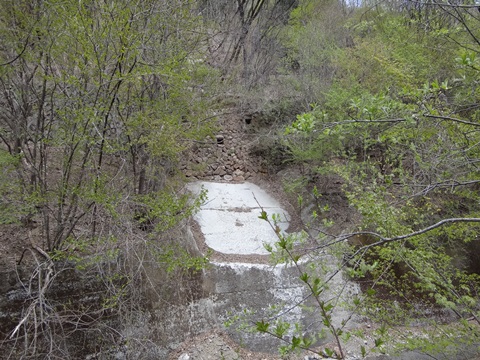 DSC05297.JPG