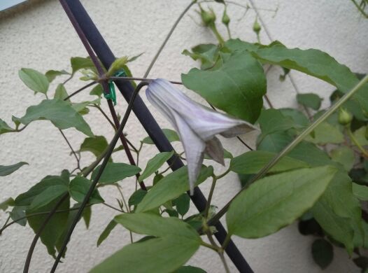 rblog-20140523200102-04.jpg