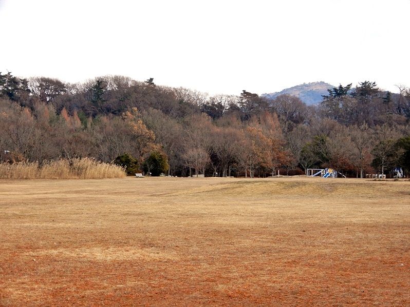 多目的広場2