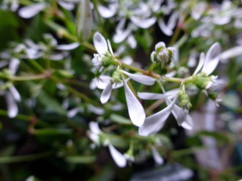 P1000060.JPG