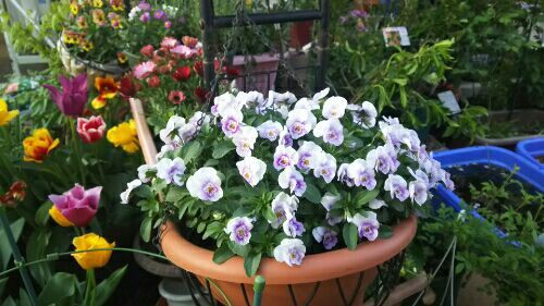 rblog-20180409232254-02.jpg