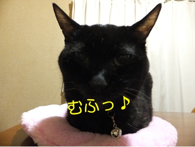 20121014_3.jpg