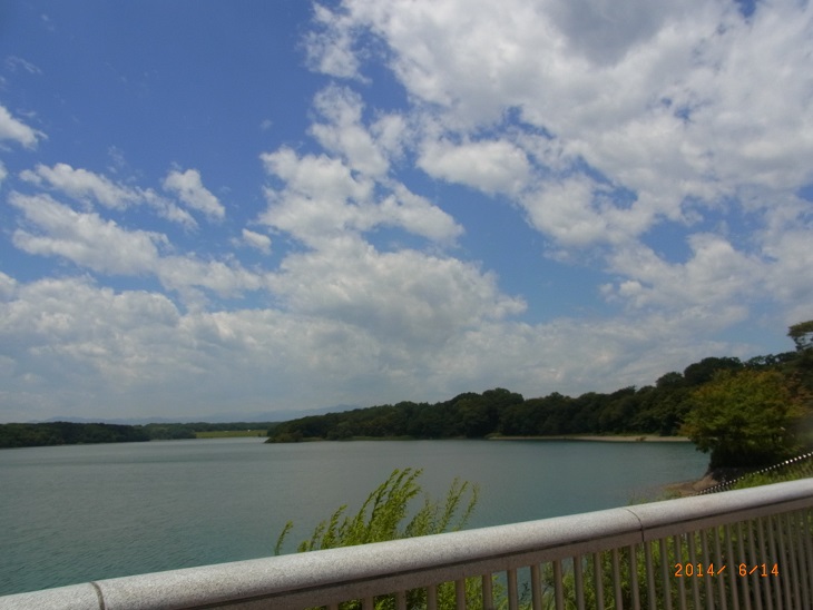 RIMG0423.JPG