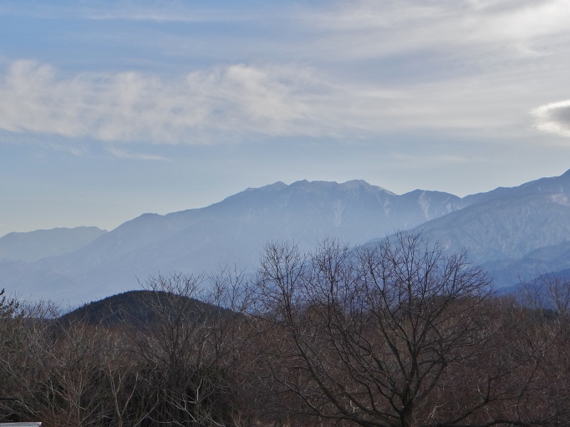 DSC08158 (800x600).jpg