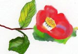img568 s.jpg