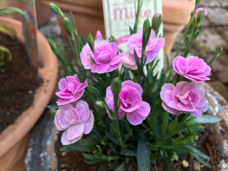 rblog-20190324173828-04.jpg