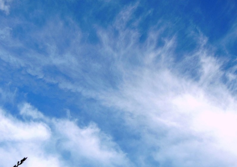 空