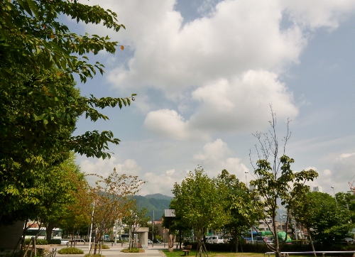 005 (500x362).jpg