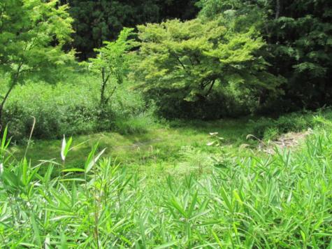 探訪 [再録] 滋賀・日野町 蒲生氏郷の足跡周辺を訪ねて －7 音羽城跡