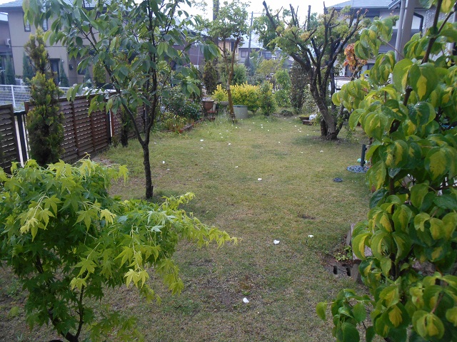 DSCN0306.JPG