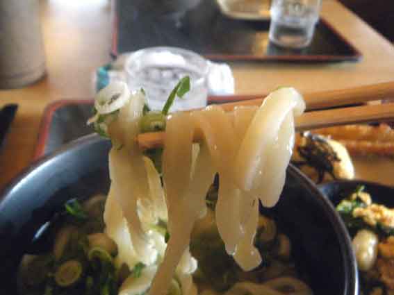 和ぁさんの「かけうどん」-3♪