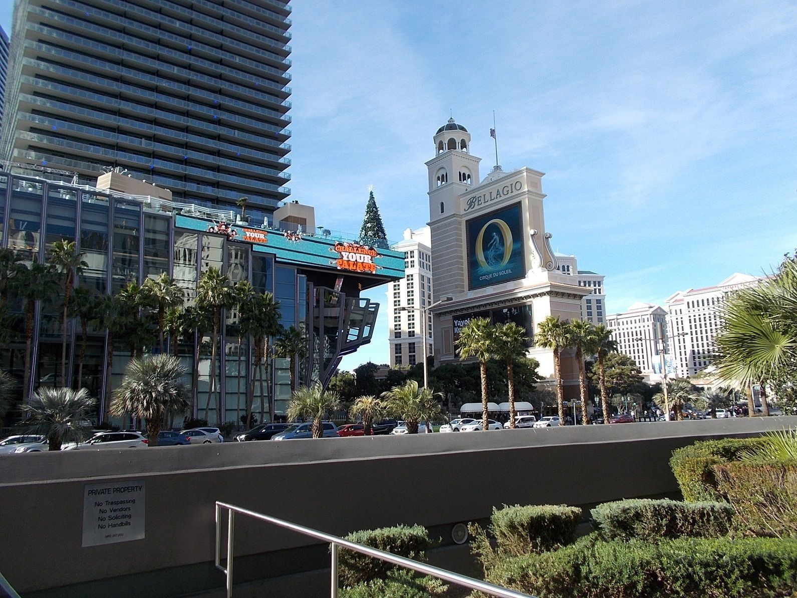 \u30e9\u30b9\u30d9\u30ac\u30b9 \u30cd\u30d0\u30c0\u5dde\u306e\u30ab\u30b8\u30ce\u304c78\u65e5\u3076\u308a\u306b\u55b6\u696d\u518d\u958b | \u30e9\u30b9\u30d9\u30ac\u30b9 \u30ed\u30b5\u30f3\u30bc\u30eb\u30b9\u306e\u65c5 - \u697d\u5929\u30d6\u30ed\u30b0