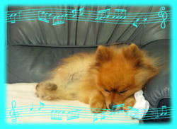 120802bon-sleep2.jpg