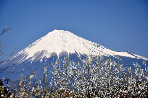 富士山3