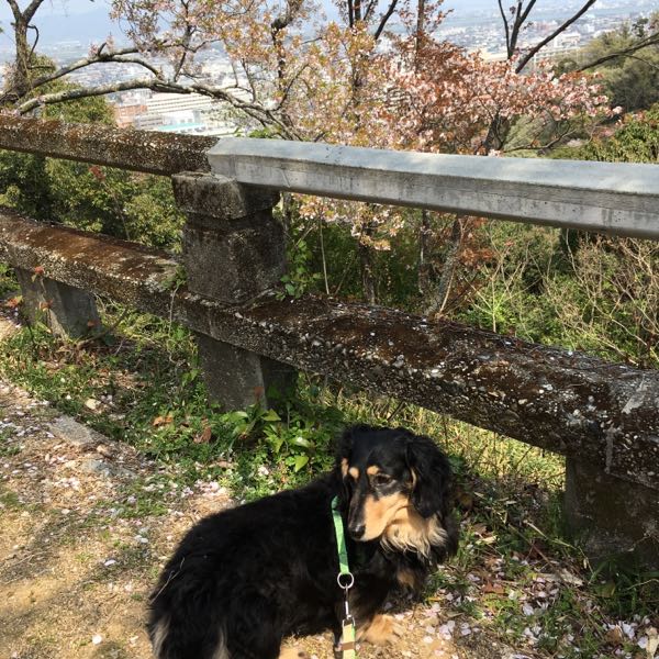 rblog-20180402185409-02.jpg