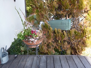 P1270490ss.jpg