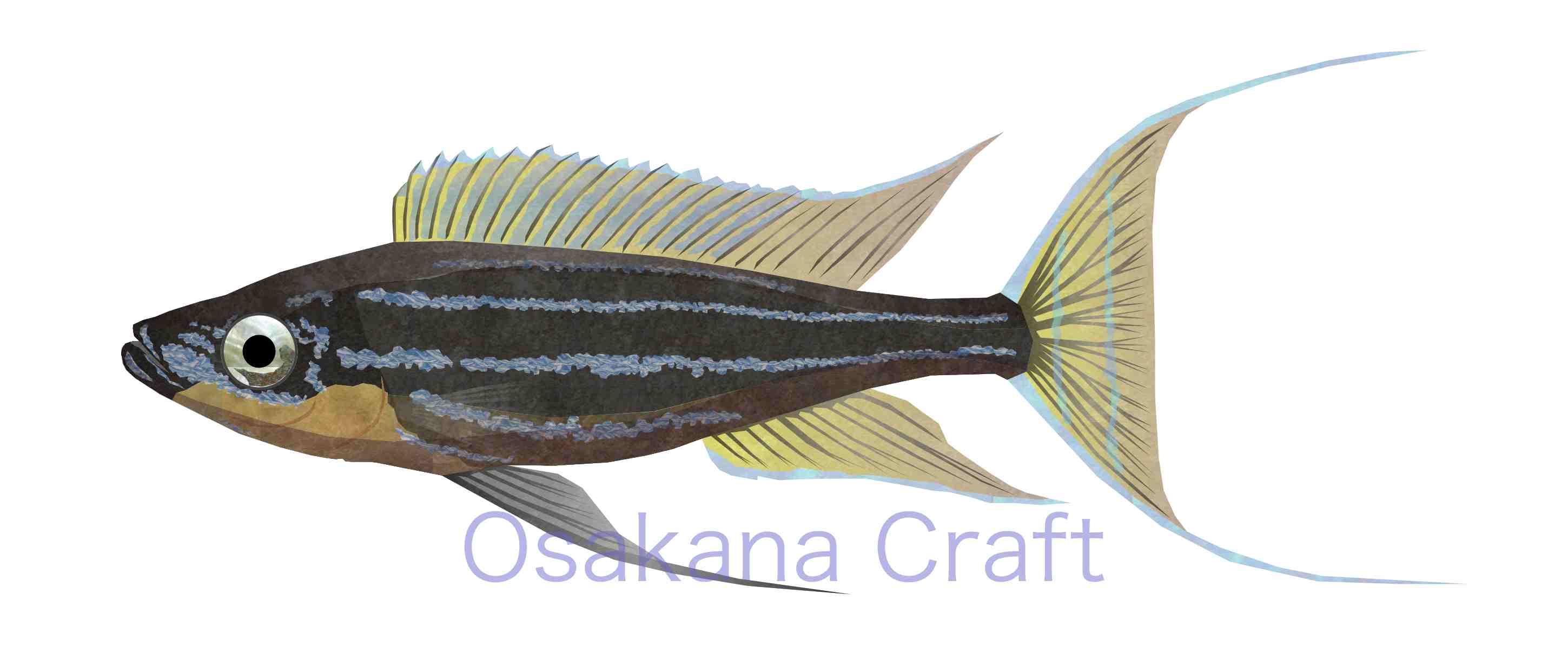 アフリカンシクリッド Cichlid African Osakana Craft イラスト熱帯魚図鑑 楽天ブログ