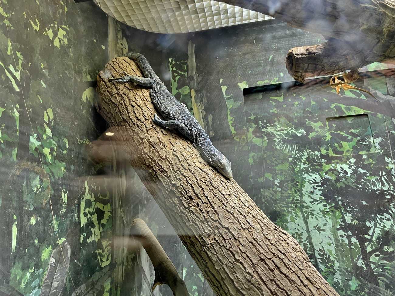 大阪 天王寺動物園 動物園 天王寺 