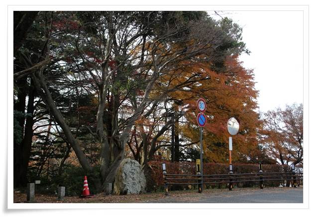 卯辰山山野草園-1 15.12.9