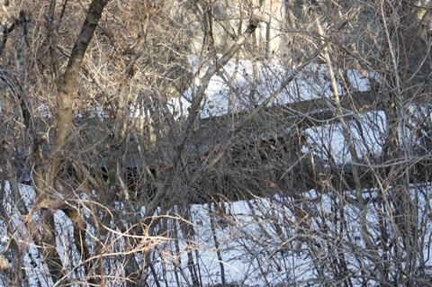 _DSC2771.JPG