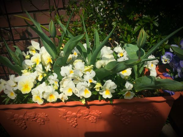 rblog-20160406142601-06.jpg