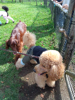 rblog-20131015171750-03.png