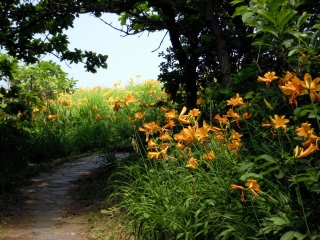 二宮家_114.JPG