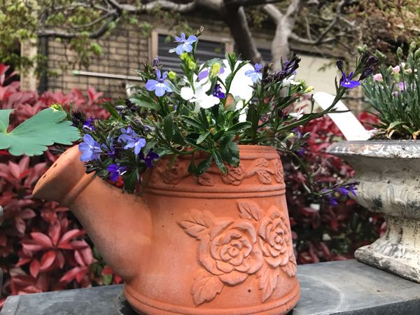 rblog-20190419194143-01.jpg