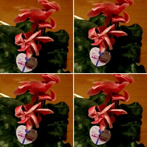 rblog-20171214190124-02.jpg
