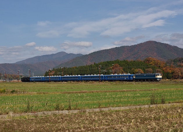 2014.11.30 2号　３　D810.jpg