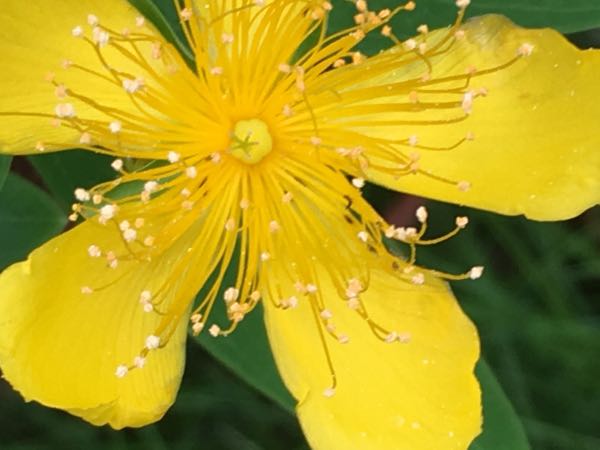 rblog-20170731130034-04.jpg